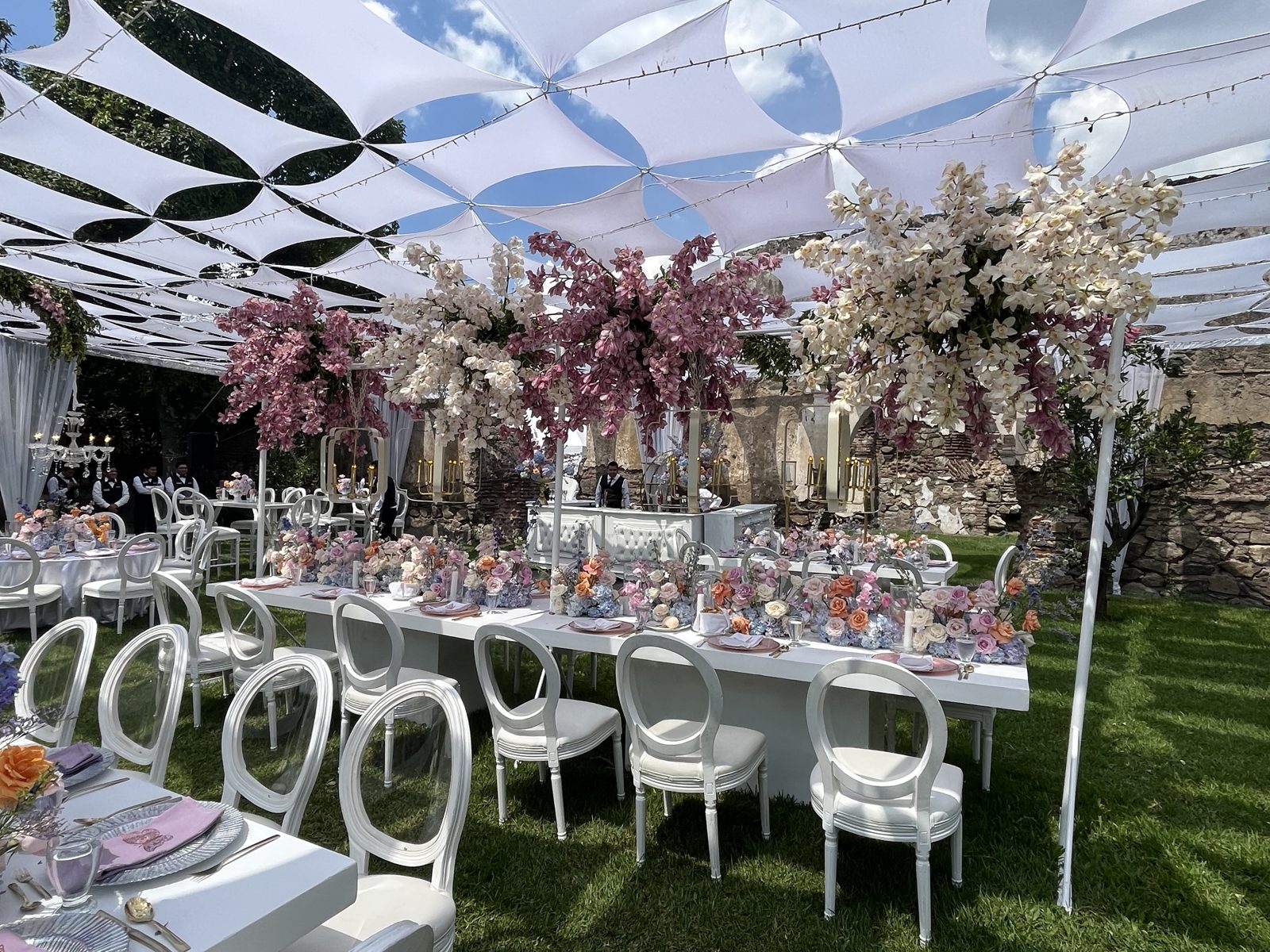 Sweet Grace in Bloom, photo 4