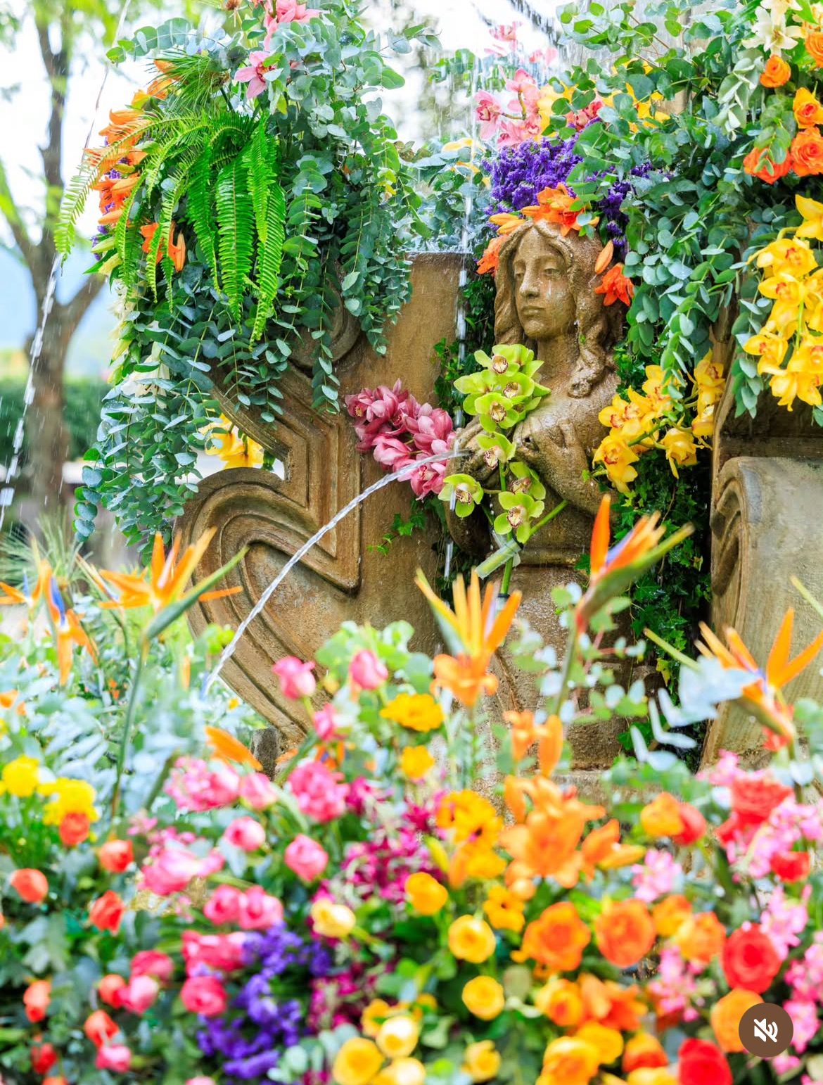 Día de las Flores, Antigua Guatemala, photo 4