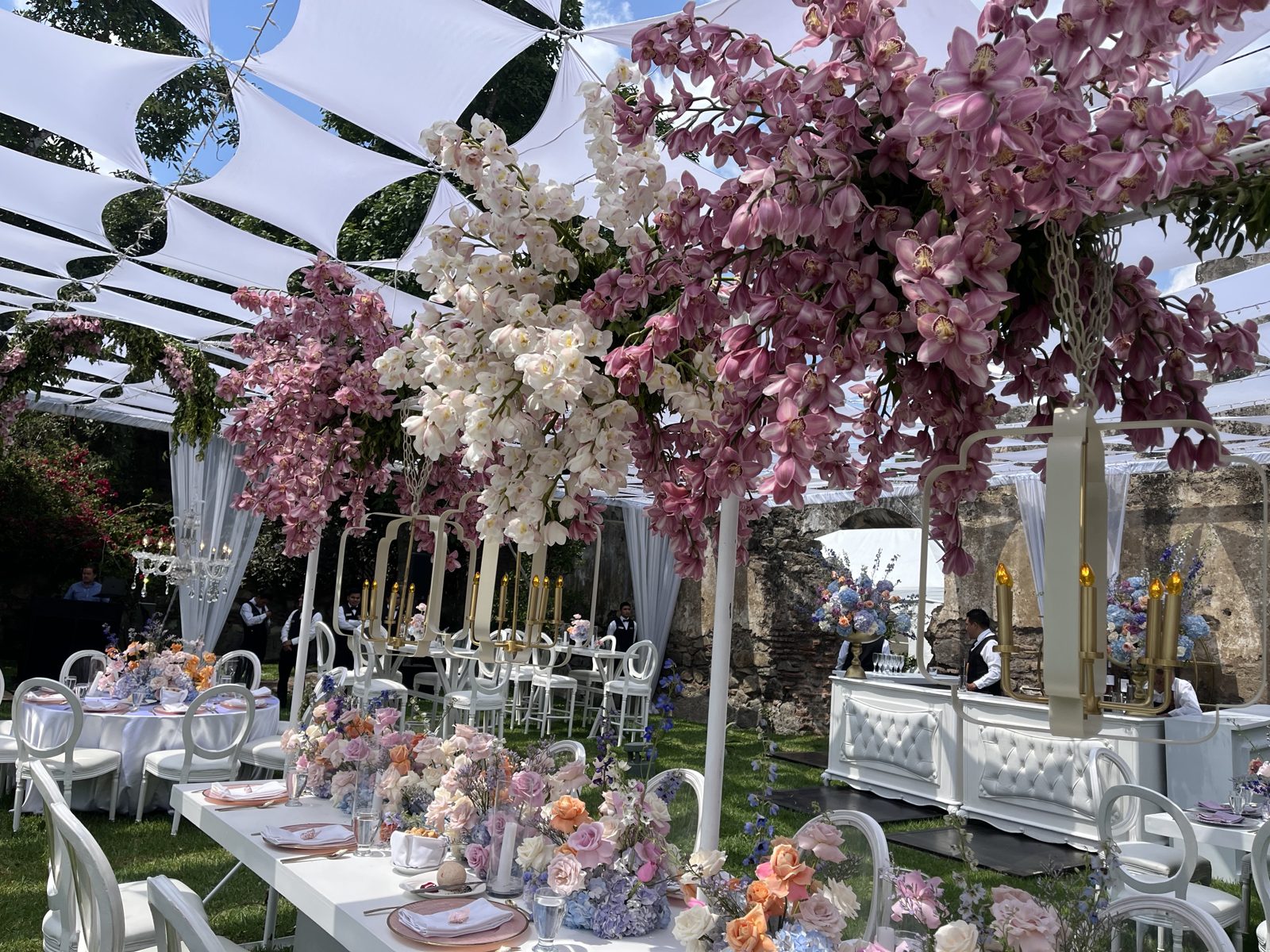 Sweet Grace in Bloom, photo 3