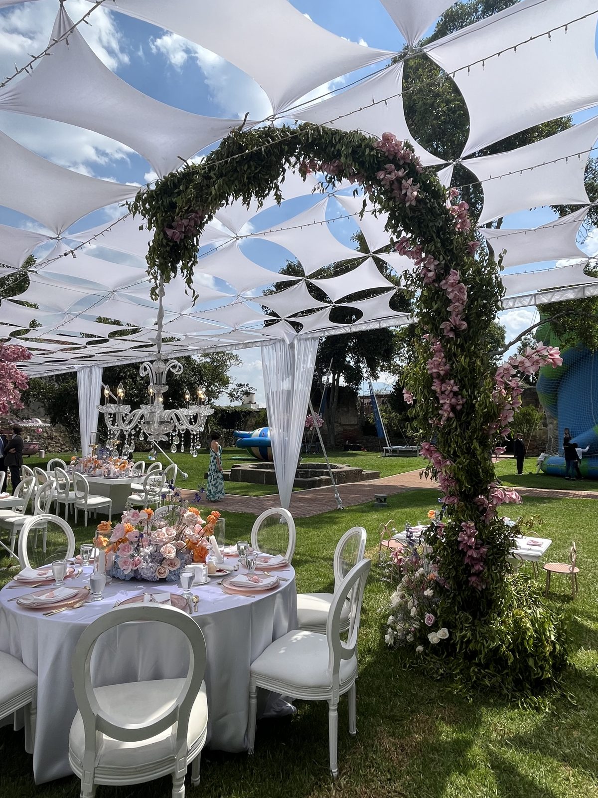 Sweet Grace in Bloom, photo 5
