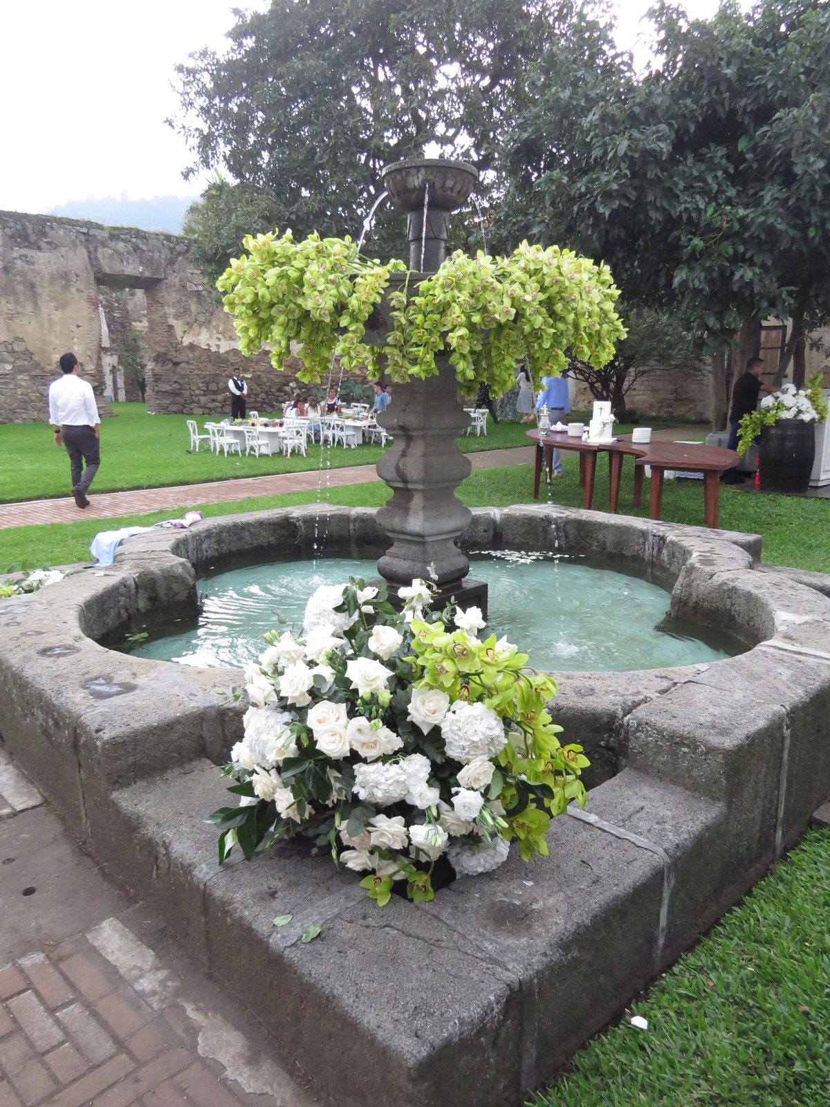 Blessed in Green, photo 8